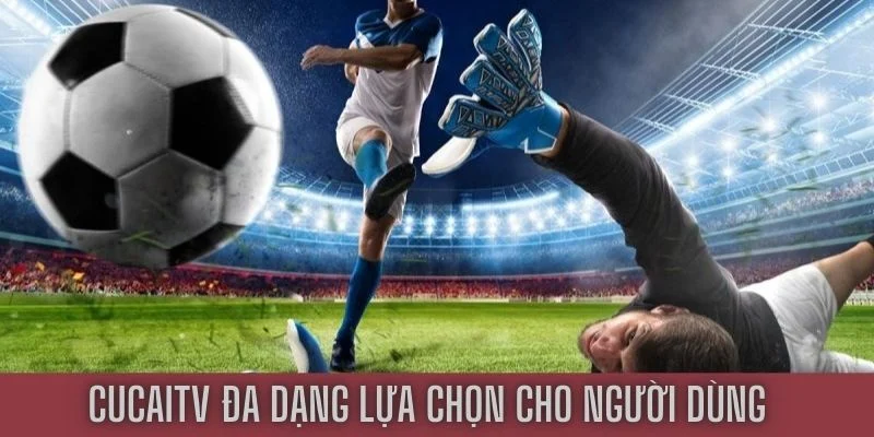 Cucai cung cấp hàng ngàn link trực tiếp trận đấu lớn